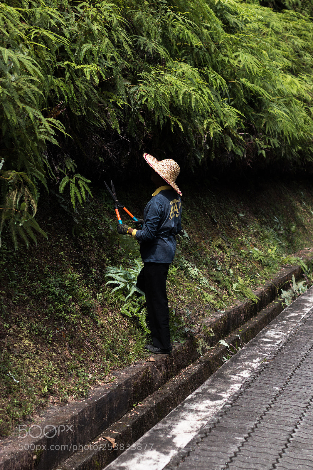 Canon EOS 70D sample photo. Details photography