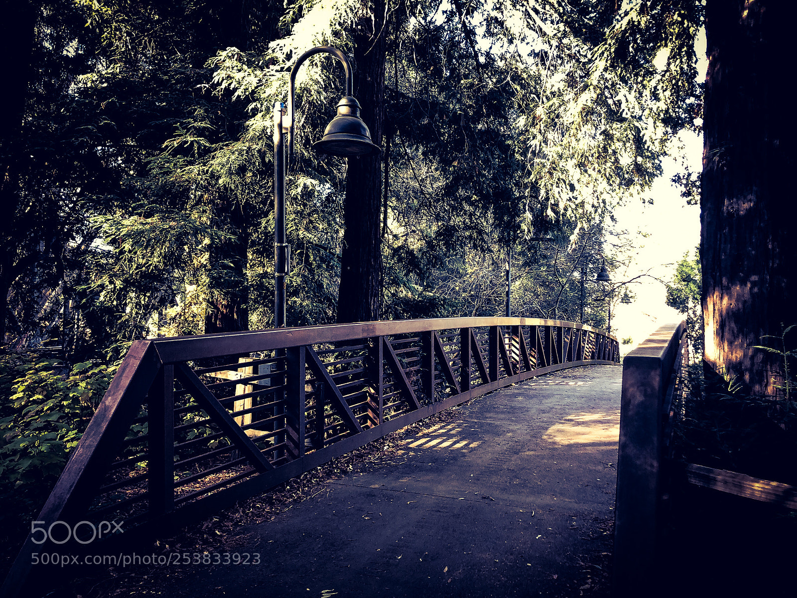 Apple iPhone X sample photo. Bridge crossing photography