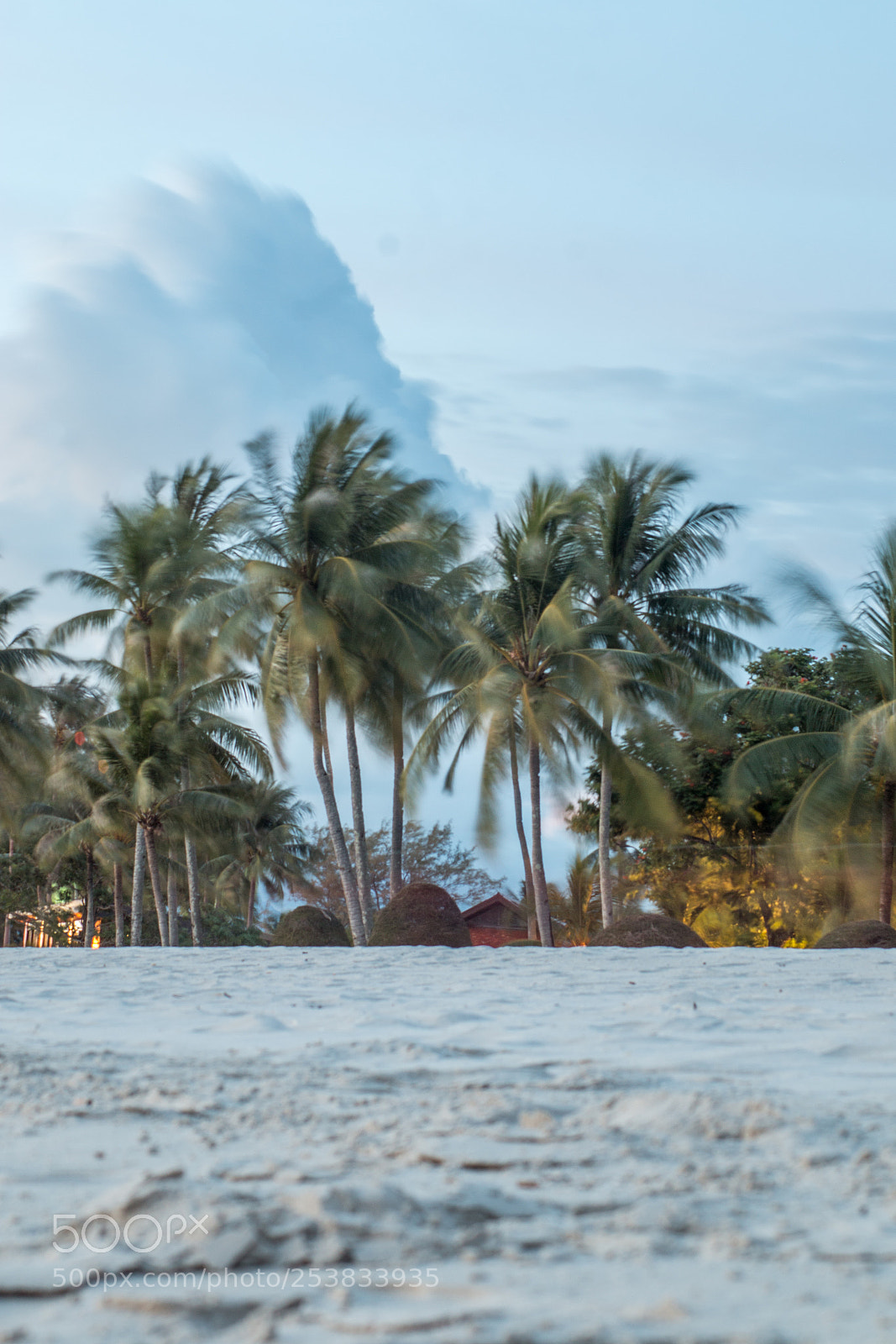 Canon EOS 70D sample photo. Beachbreeze photography