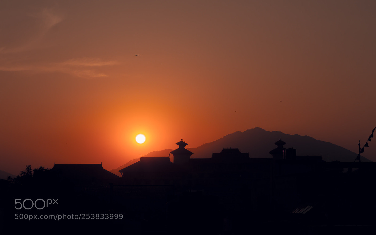 Canon EOS 7D sample photo. Sunset silhouettes photography