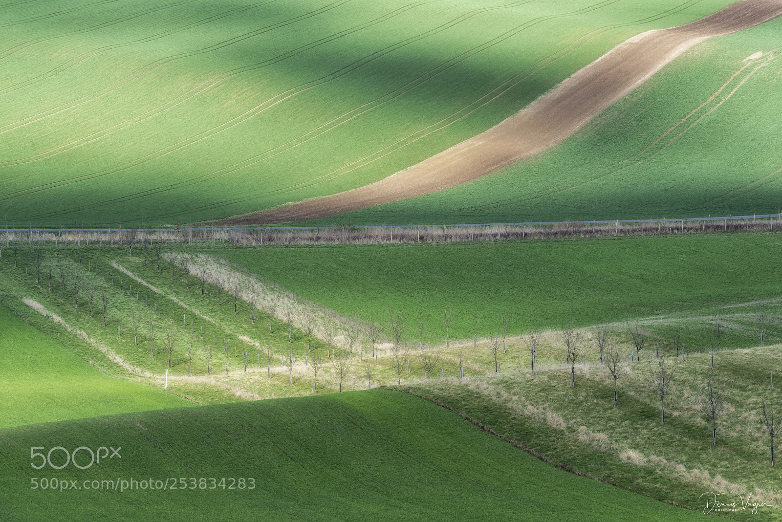Nikon D810 sample photo. Afternoon field photography