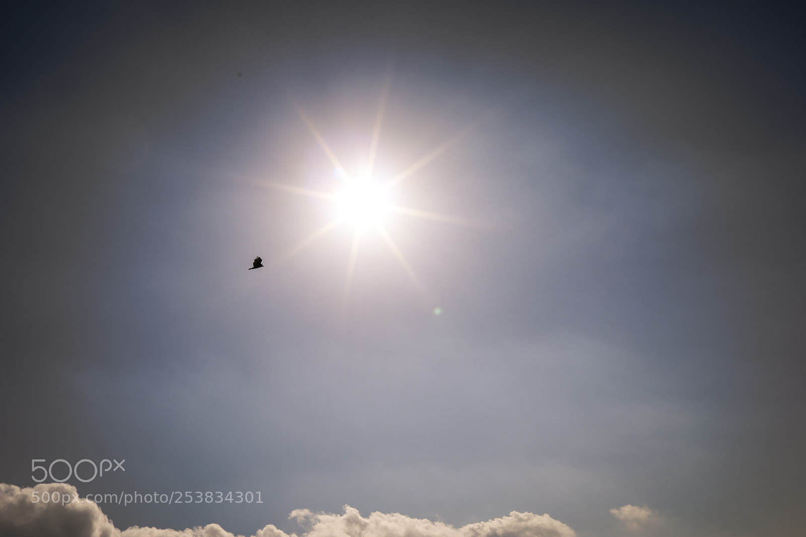Canon EOS 5D Mark IV sample photo. Aa photography