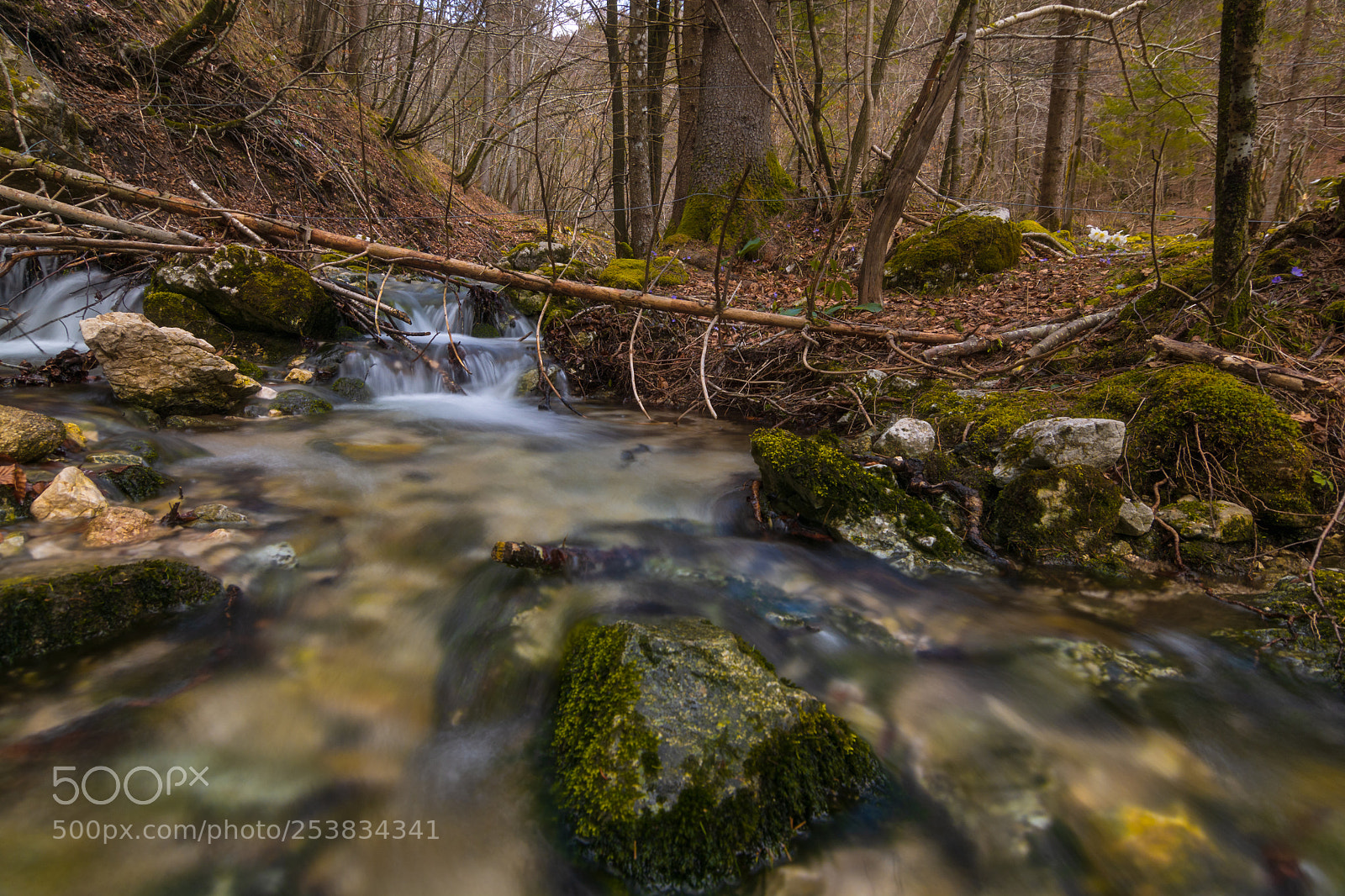 Nikon D7100 sample photo. Creek photography