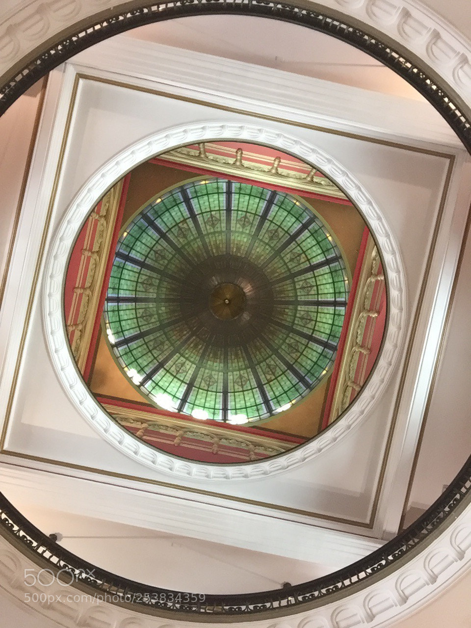 Apple iPhone 6 Plus sample photo. Look up or you photography