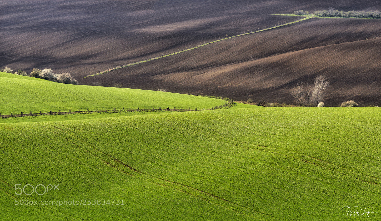 Nikon D810 sample photo. Afternoon fields photography