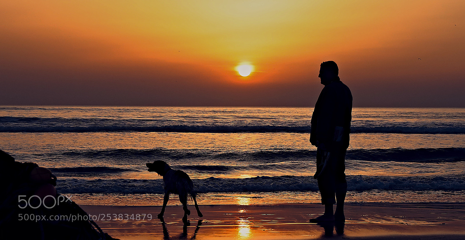 Canon EOS 5D Mark IV sample photo. He is your dog photography