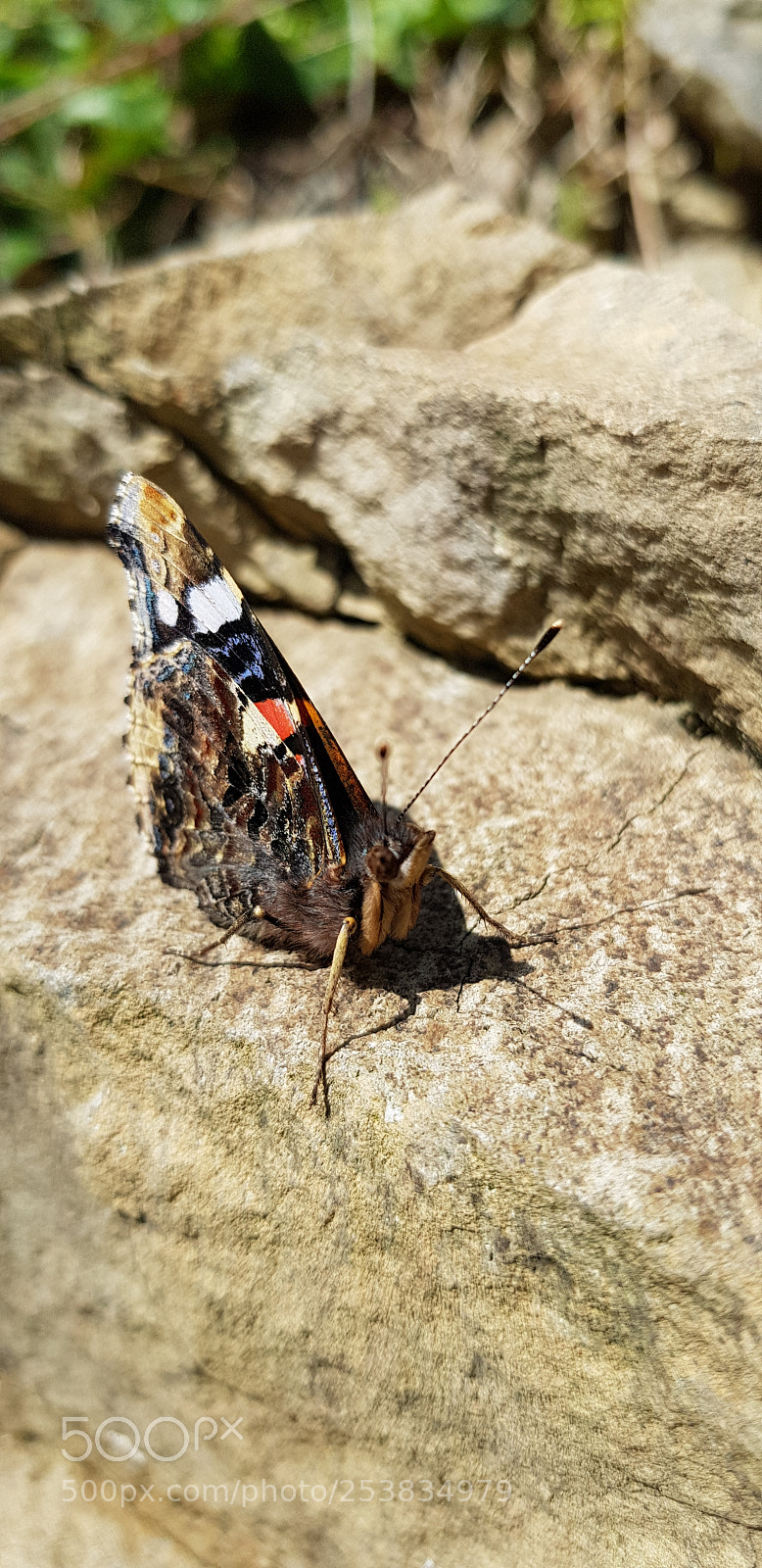Samsung Galaxy S8 sample photo. Untitled photography
