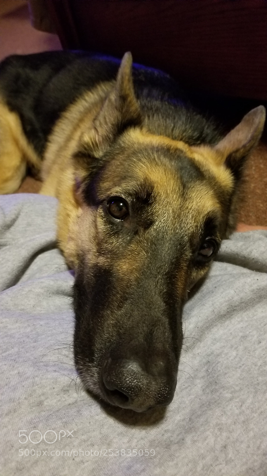 Samsung Galaxy S8 sample photo. Untitled photography
