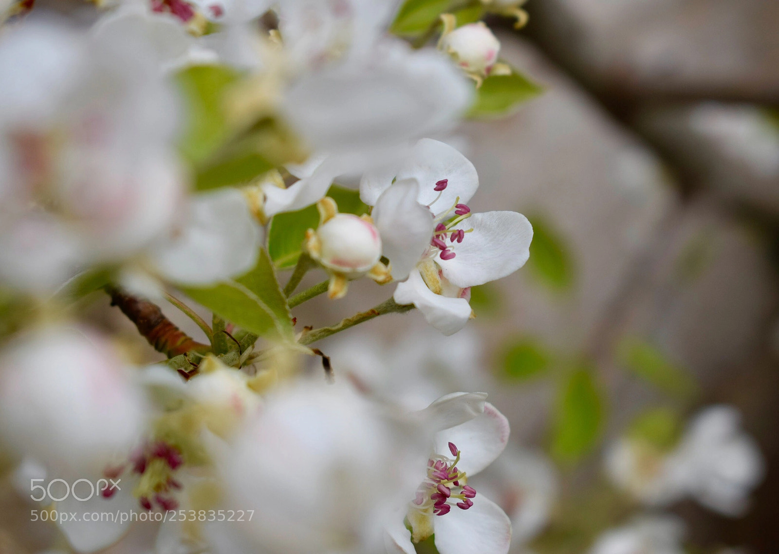 Nikon D3300 sample photo. Untitled photography