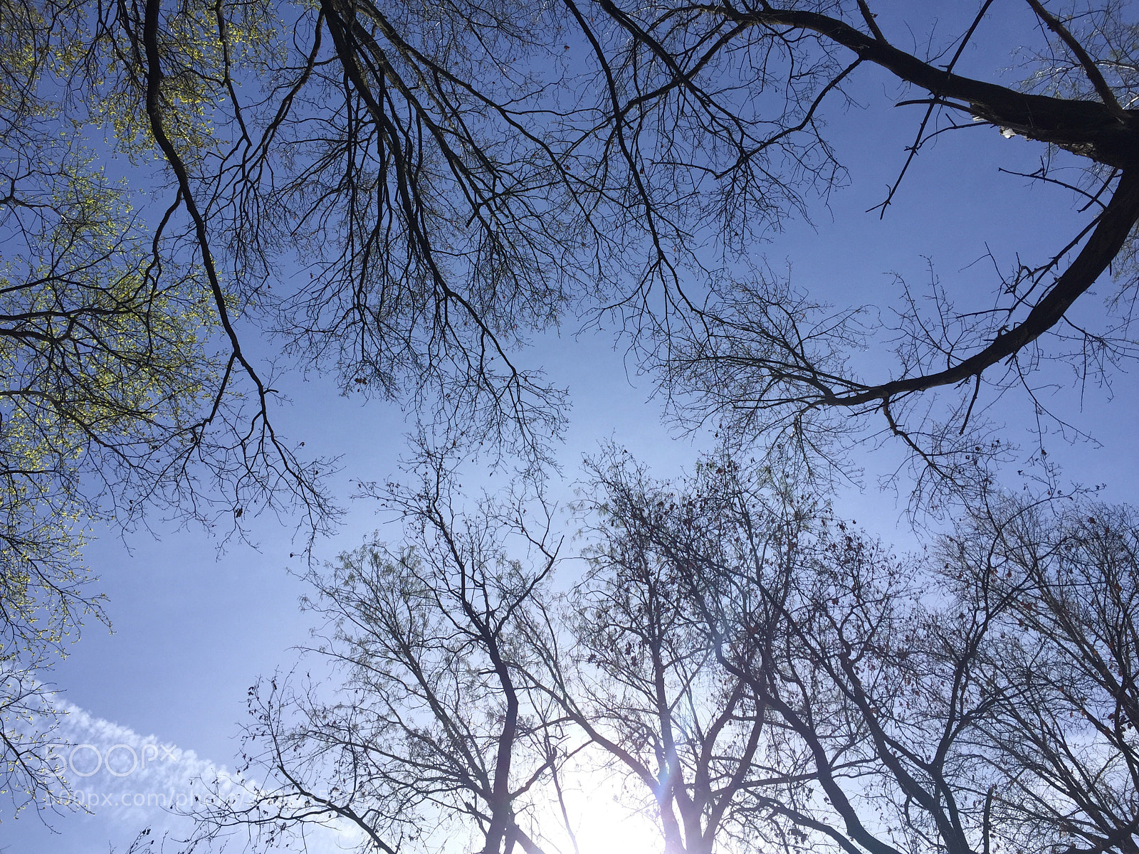 Apple iPhone 6 sample photo. Untitled photography