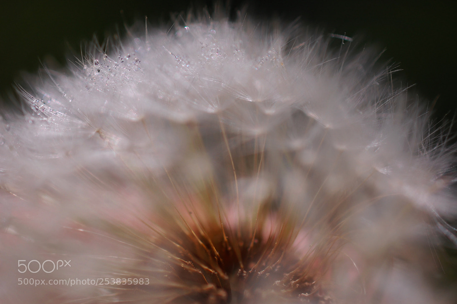 Nikon D40 sample photo. Balance photography