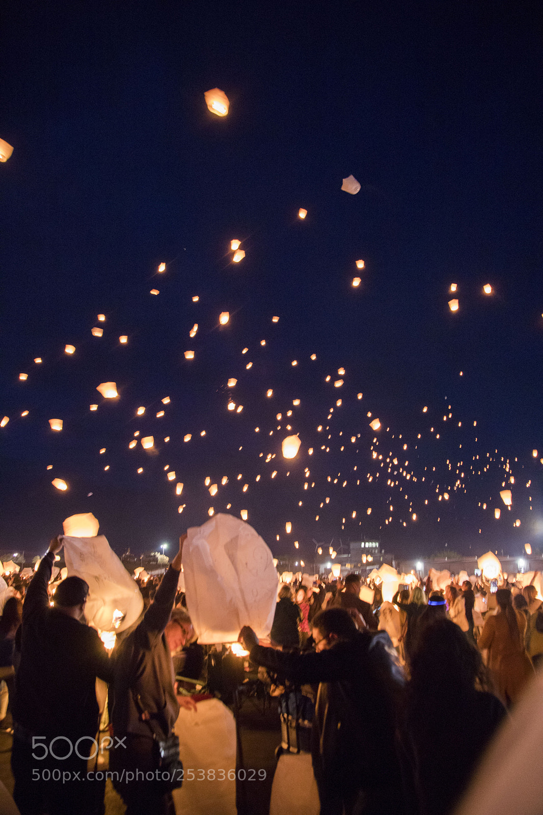 Canon EOS 6D Mark II sample photo. Up, up, and away photography