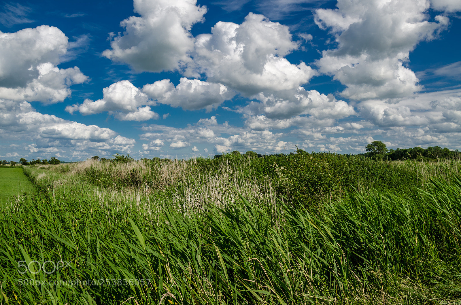 Nikon D7000 sample photo. Wolkenspiele photography