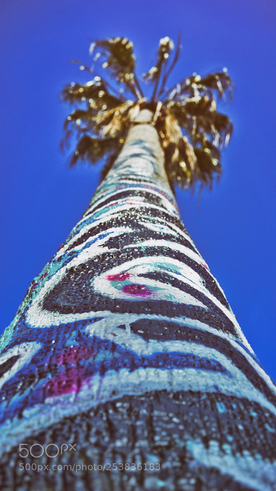 Sony a7 II sample photo. Palms up photography