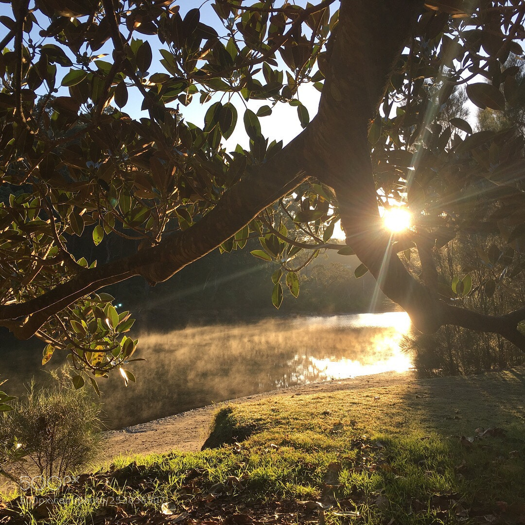 Apple iPhone 6s sample photo. Dreaming of autumn photography