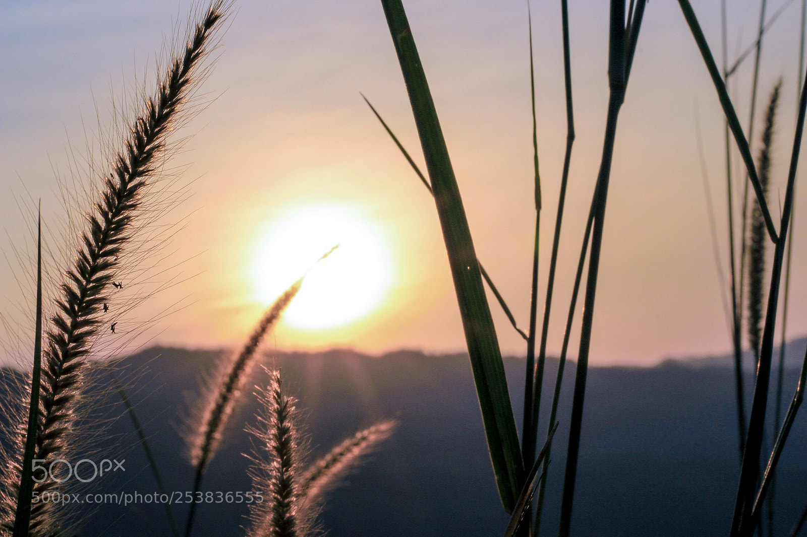 Canon EOS 700D (EOS Rebel T5i / EOS Kiss X7i) sample photo. Lovely sunrise photography