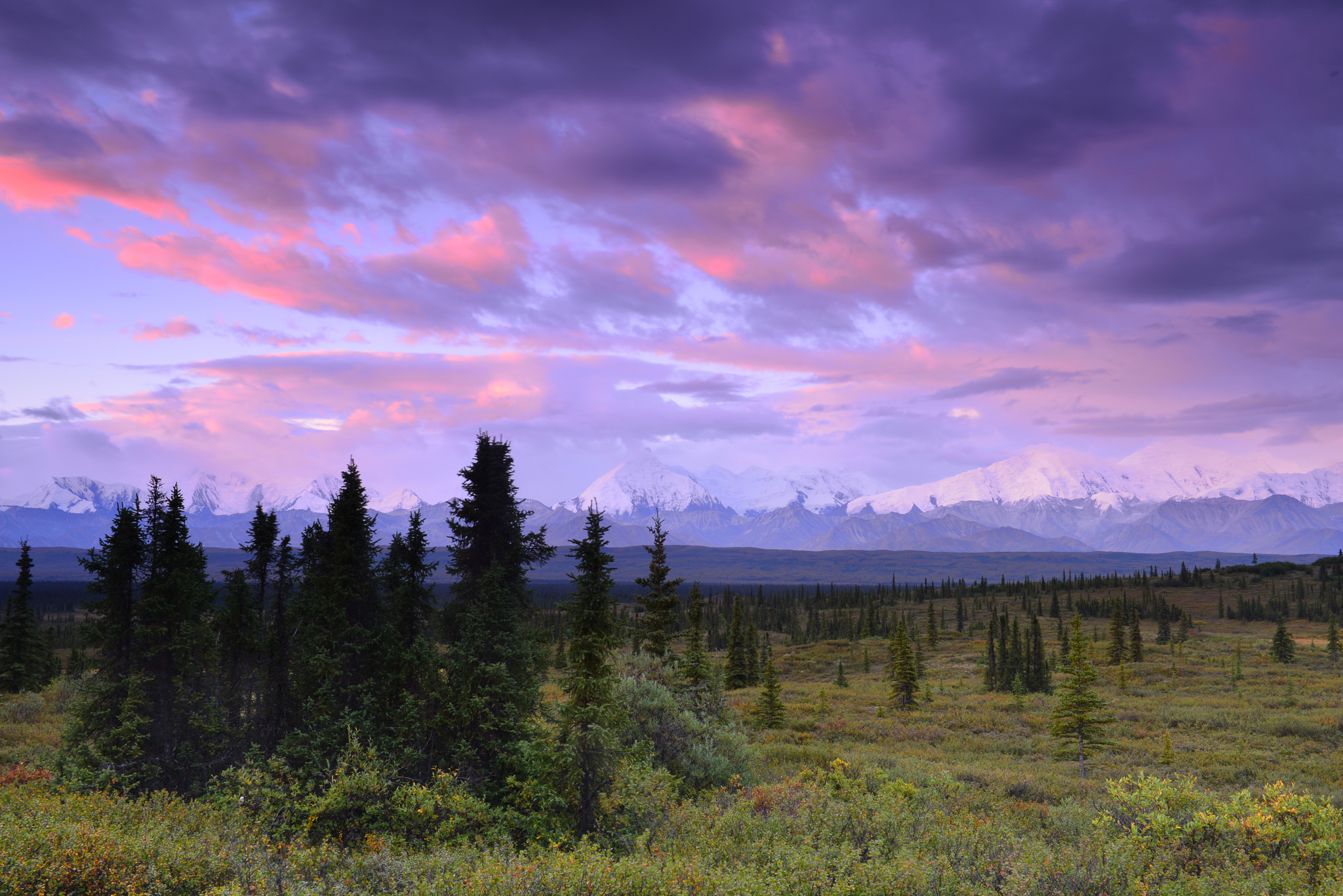 Nikon AF-S Nikkor 24-70mm F2.8G ED sample photo. Mt. denali at sunrise photography