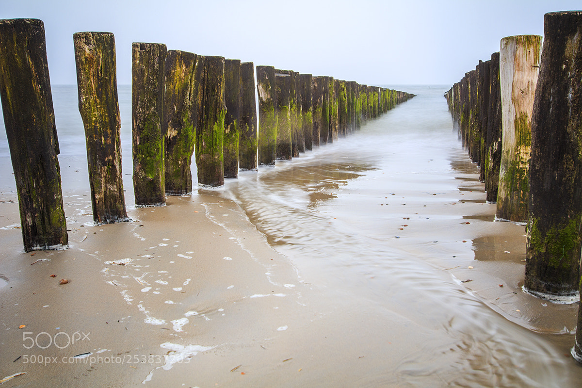 Canon EOS 80D sample photo. Zoutelande, zeeland photography