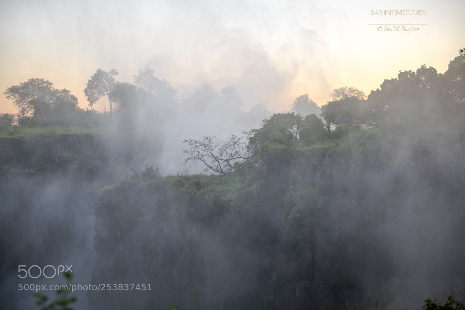 Nikon D850 sample photo. Victoria falls early in photography