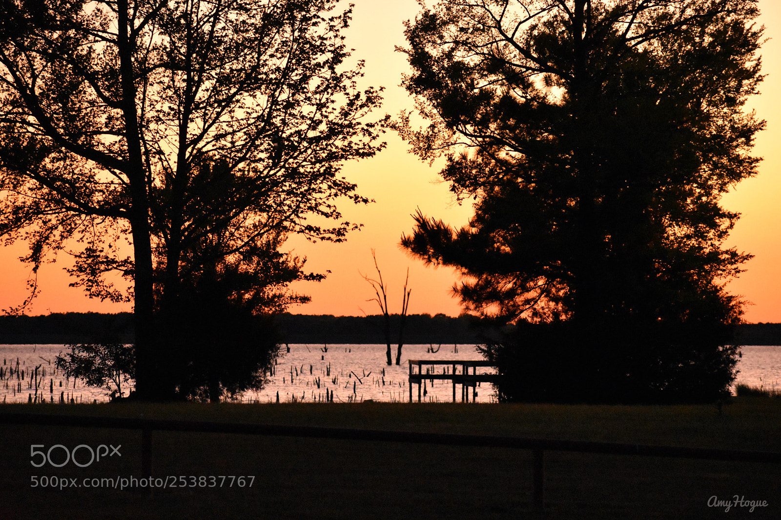 Nikon D3400 sample photo. Peace photography