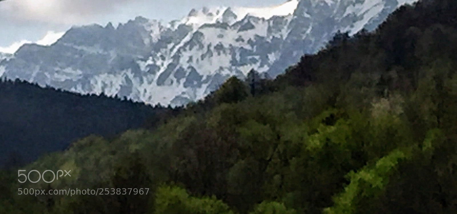 Apple iPhone 6 sample photo. Untitled photography