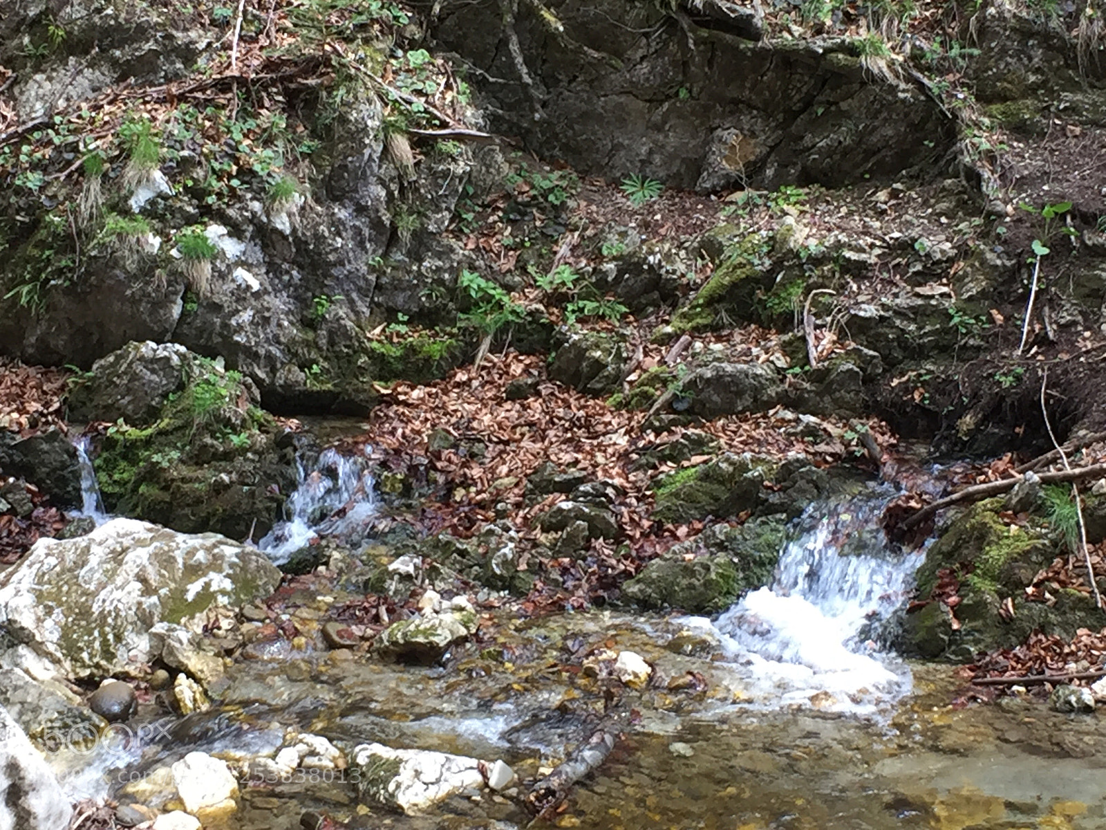 Apple iPhone 6 sample photo. Untitled photography
