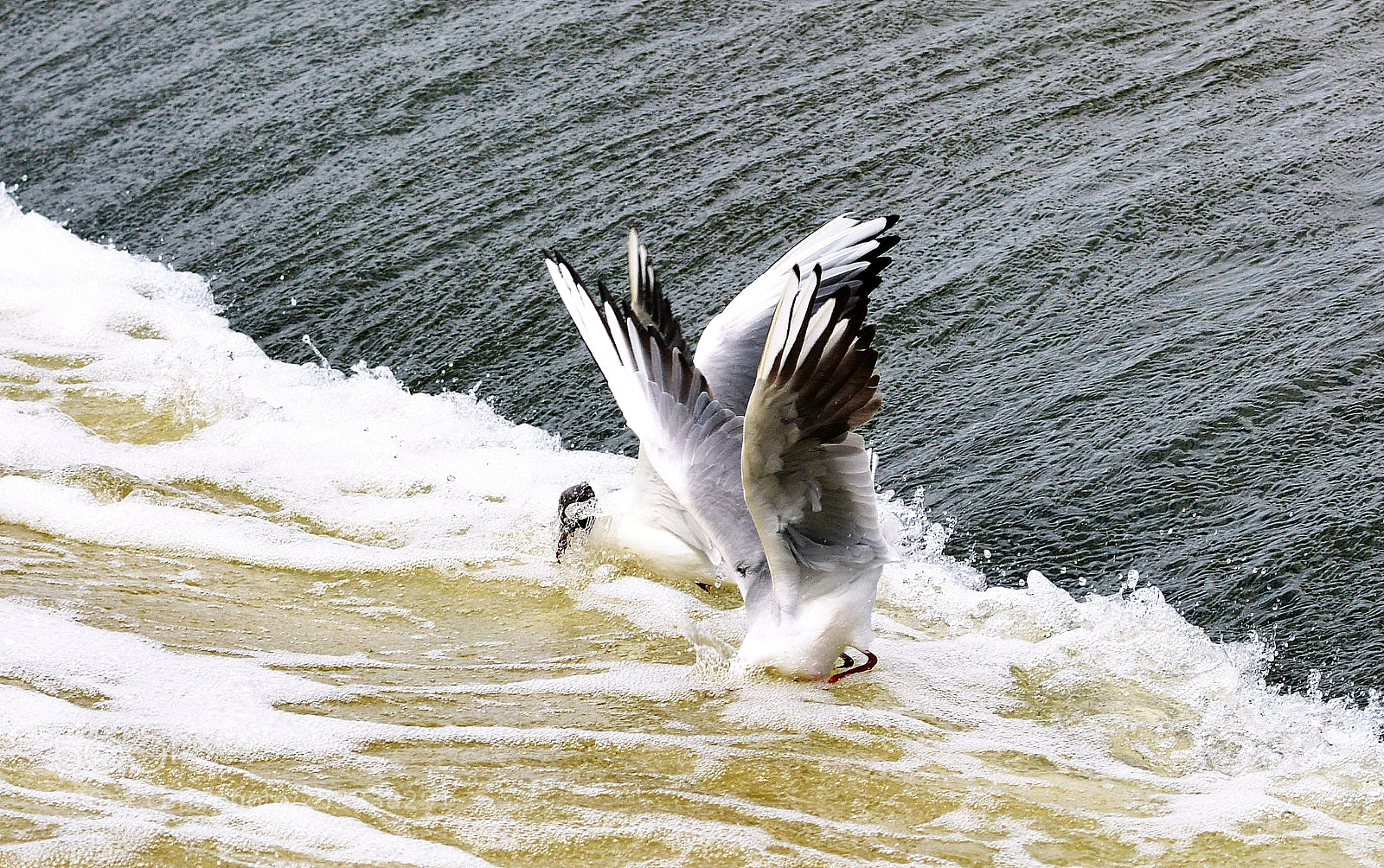 Nikon D7100 sample photo. Fishermans photography