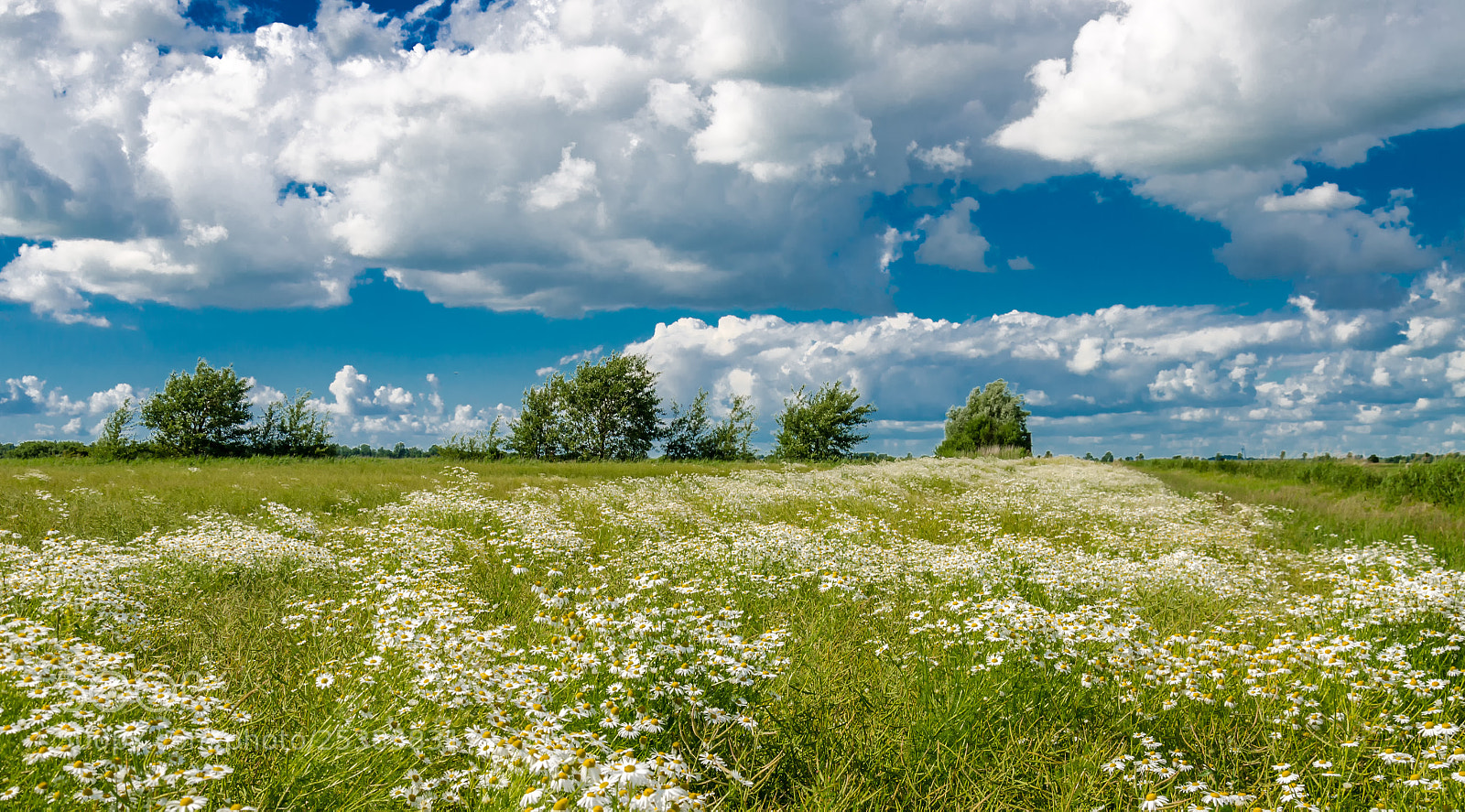 Nikon D7000 sample photo. Sommer auf dem land photography