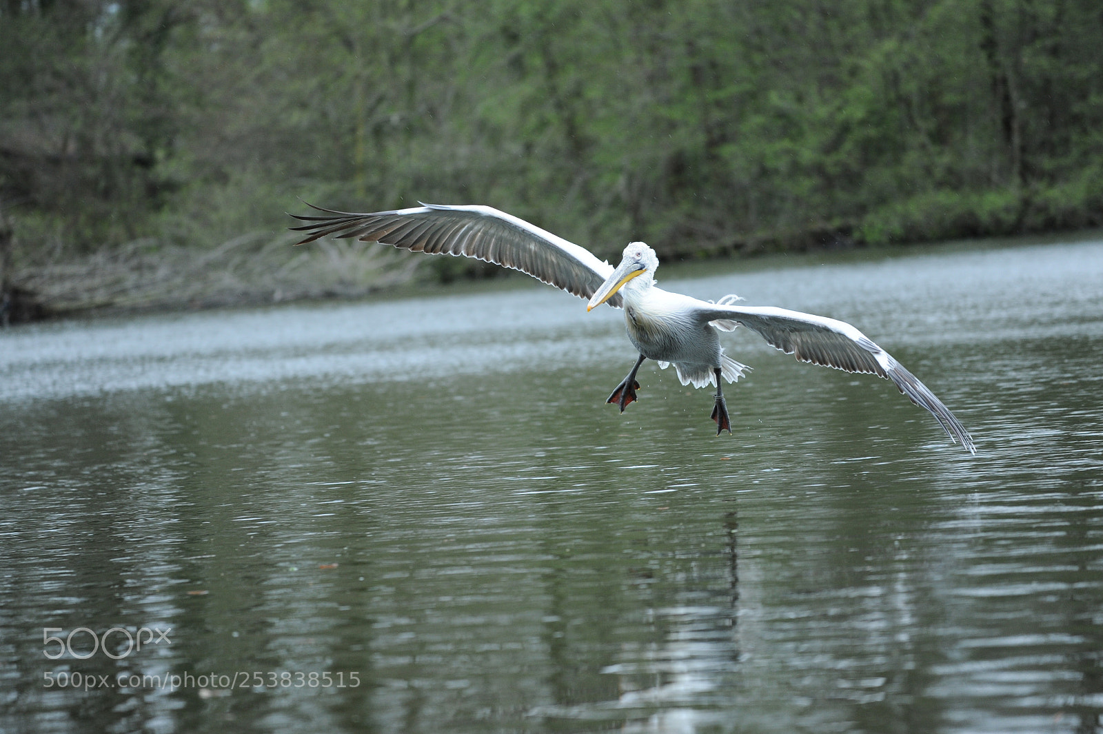 Nikon D700 sample photo. Landing photography