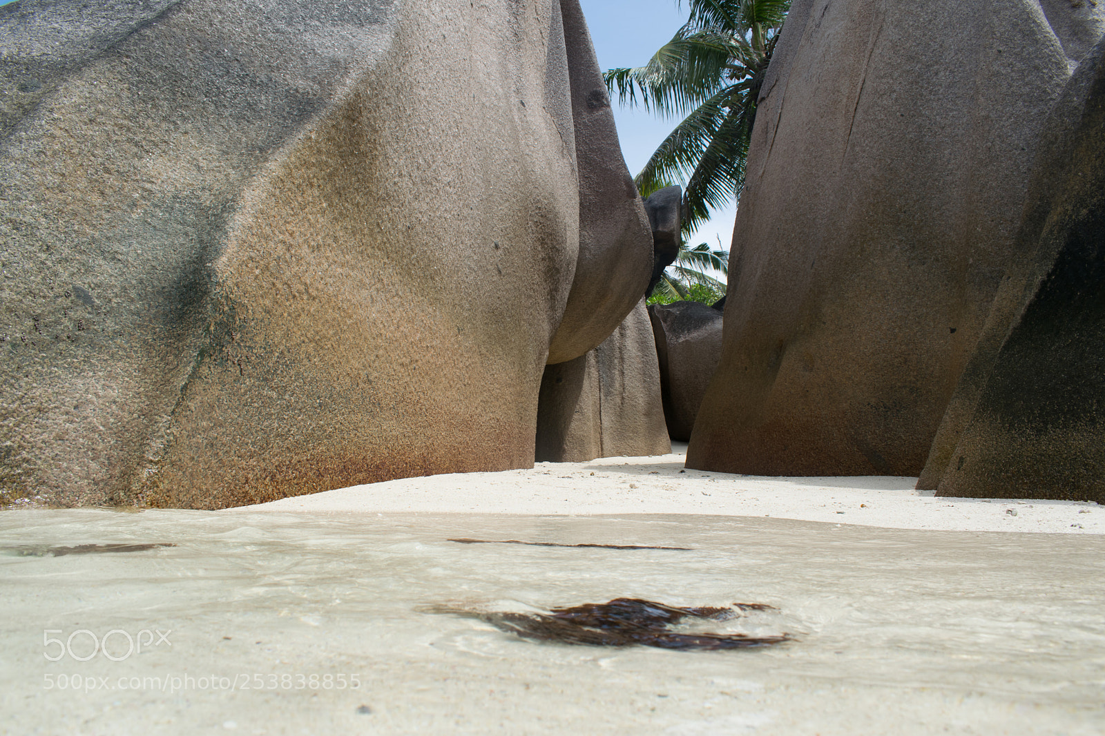 Nikon D5300 sample photo. Lost photography