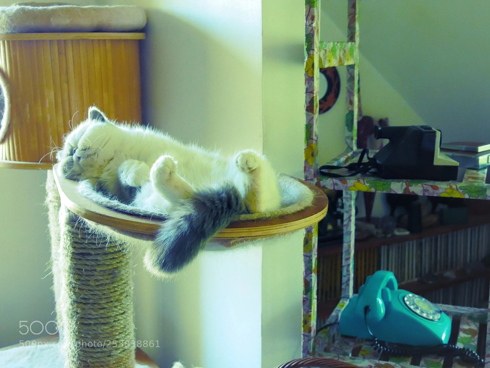Panasonic Lumix DMC-GX85 (Lumix DMC-GX80 / Lumix DMC-GX7 Mark II) sample photo. Sieste photography