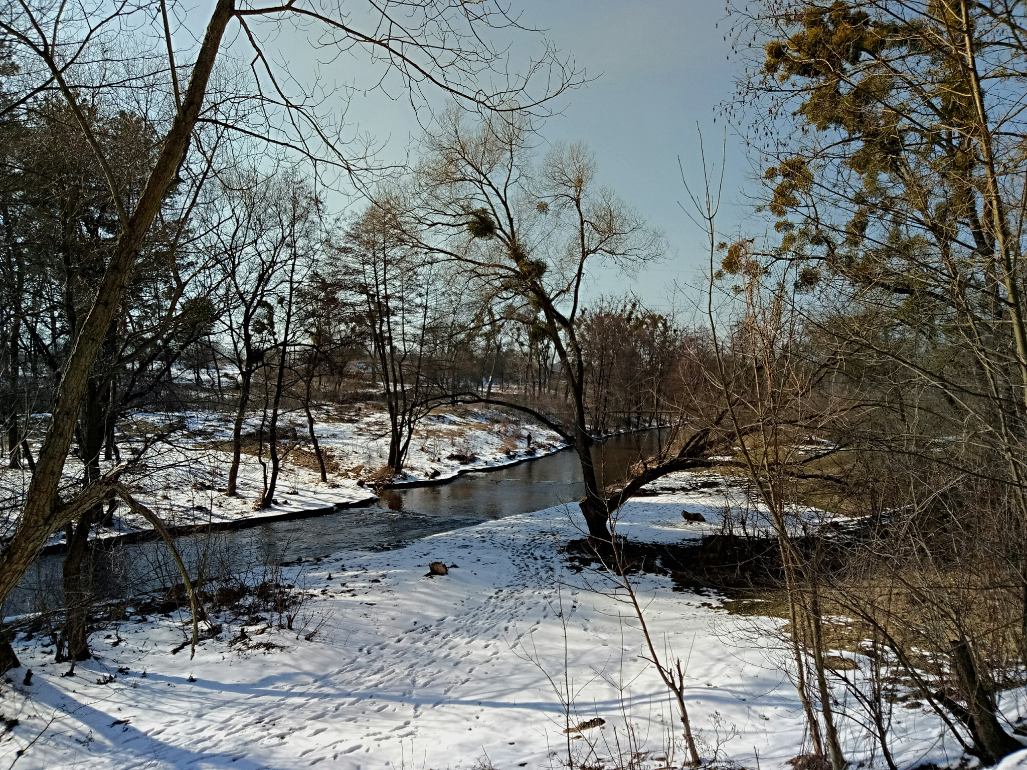 Meizu U20 sample photo