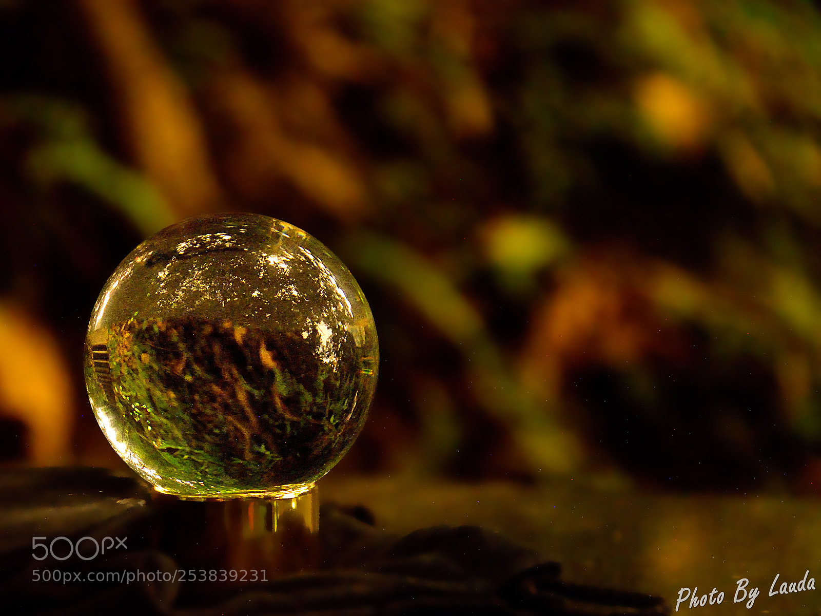 Nikon D610 sample photo. 水晶球螢火蟲 photography