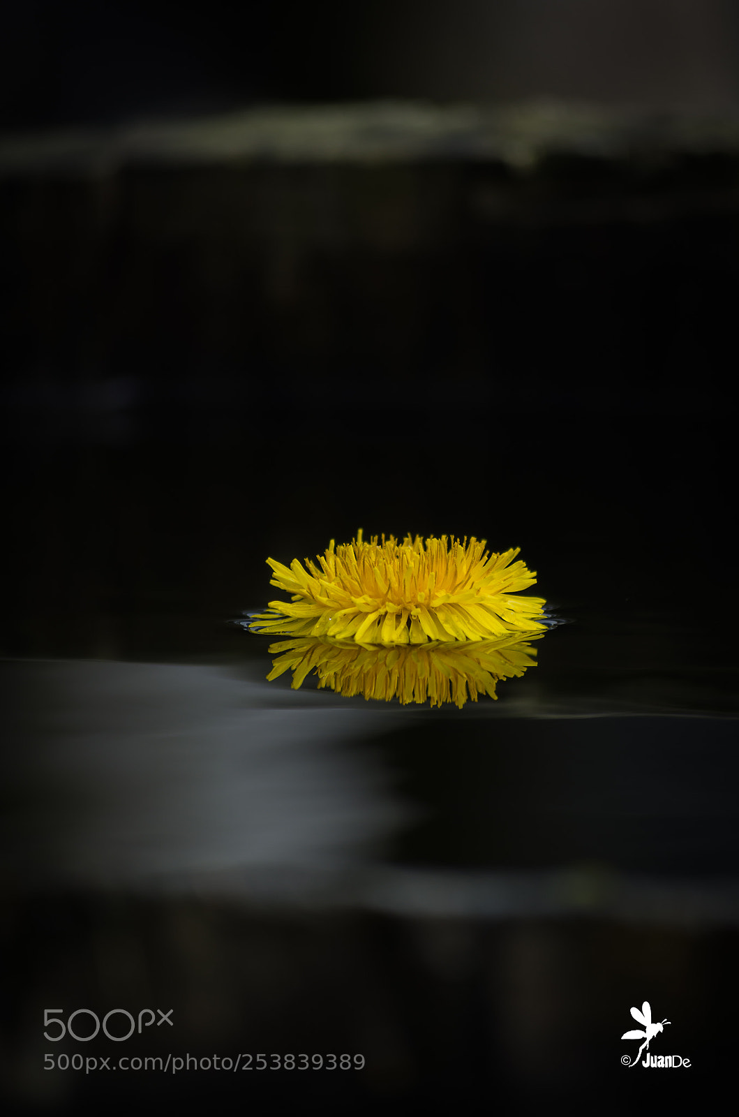Nikon D5100 sample photo. Buenos d as, serie photography