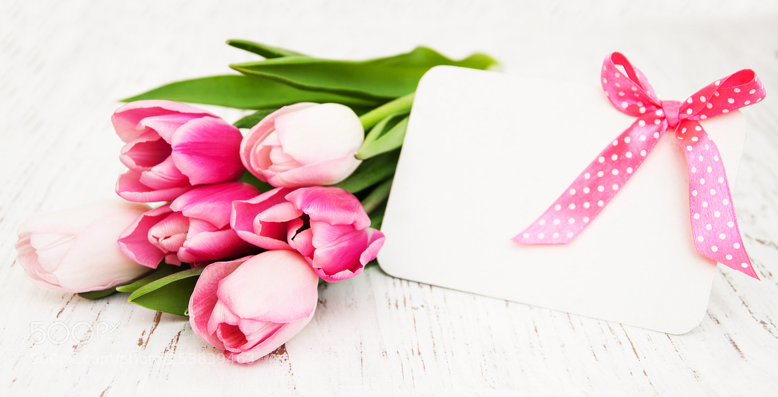 Nikon D90 sample photo. Tulips with a card photography