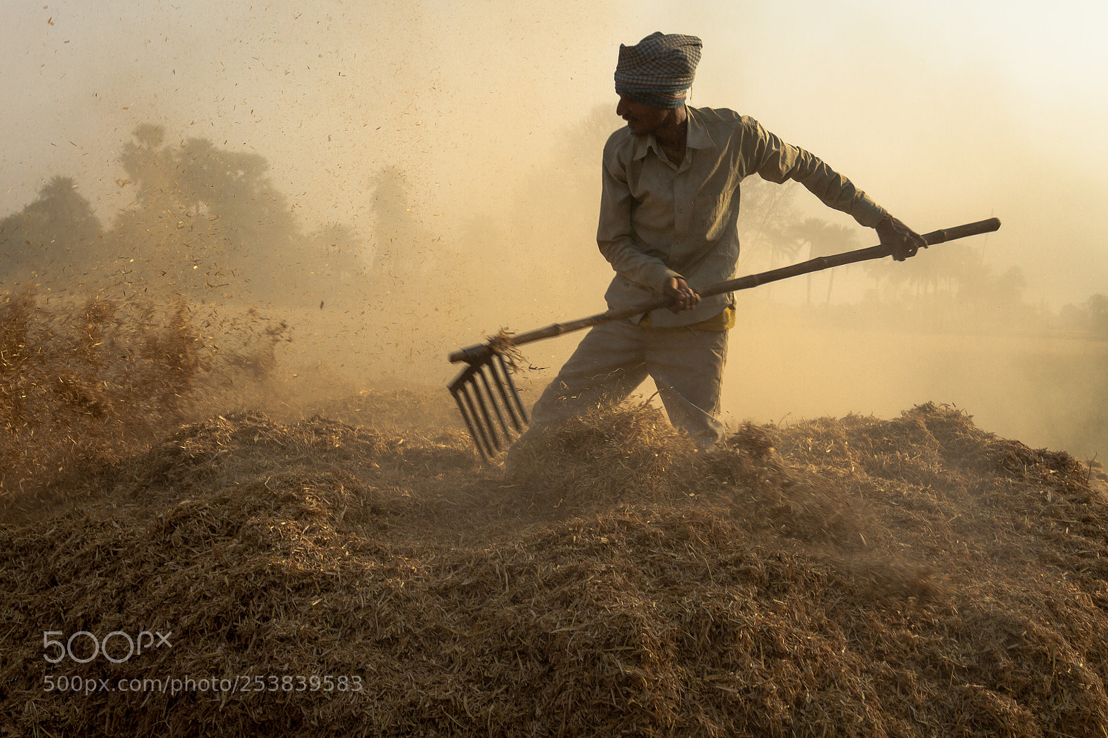 Canon EOS 7D sample photo. Daily wage labourer photography