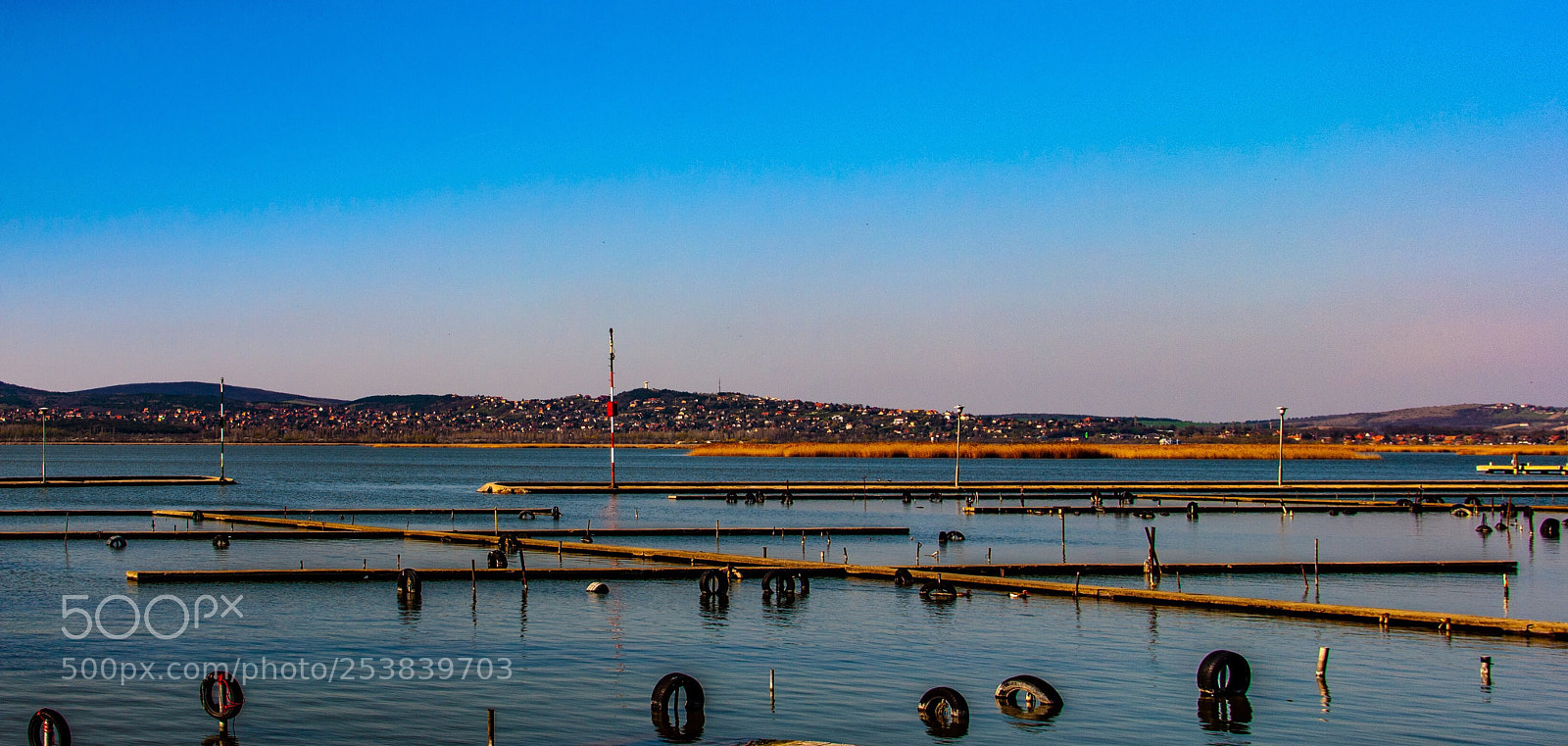 Nikon D3000 sample photo. Untitled photography