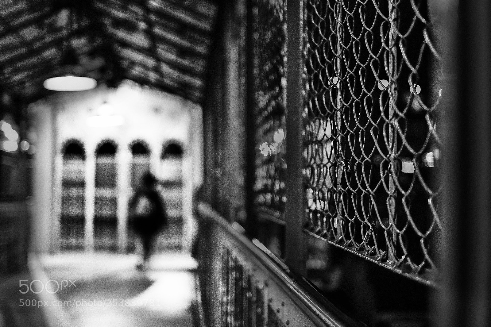 Fujifilm X-T10 sample photo. Long slow goodbye photography