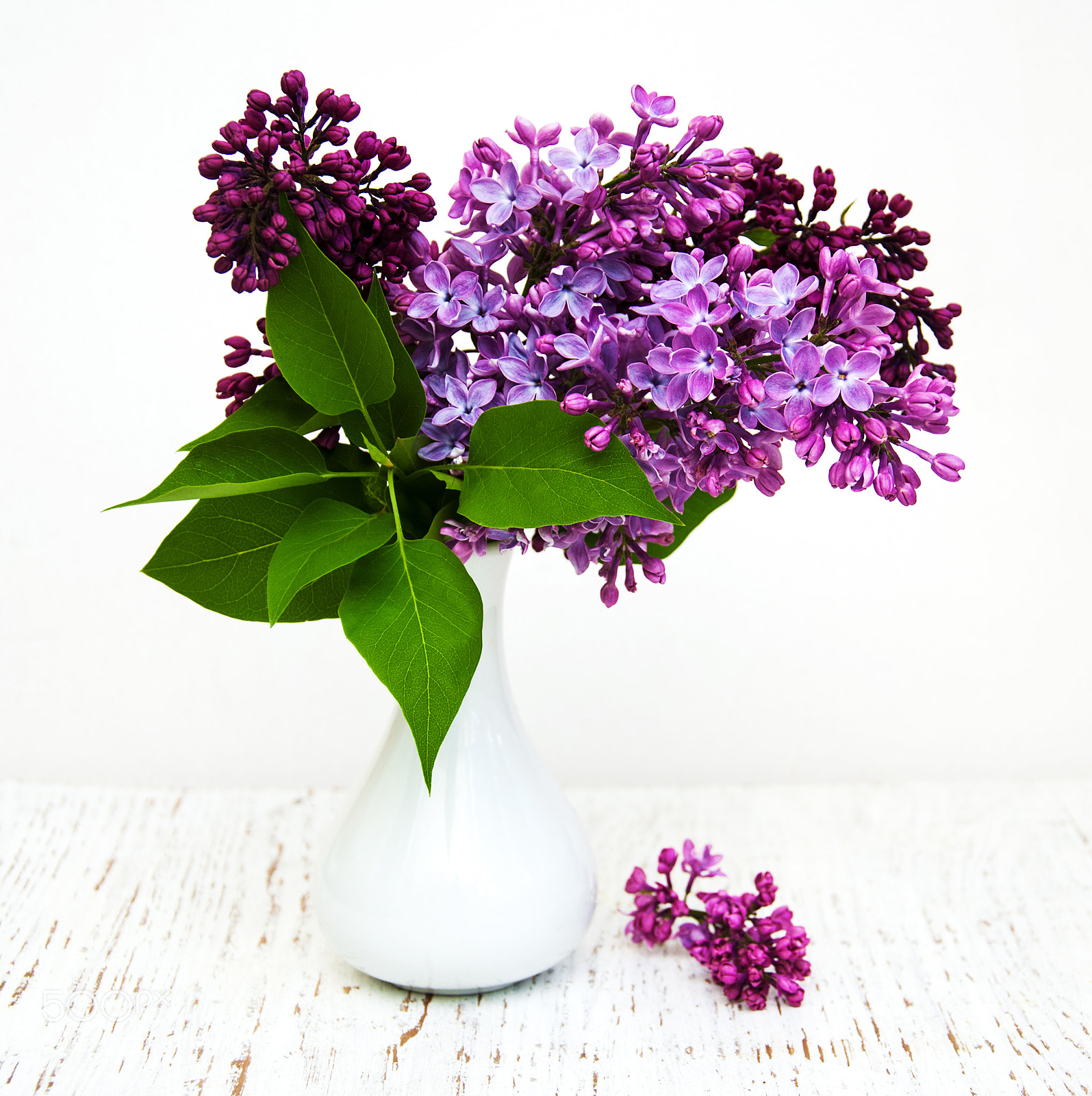 Nikon D90 sample photo. Lilac flowers photography