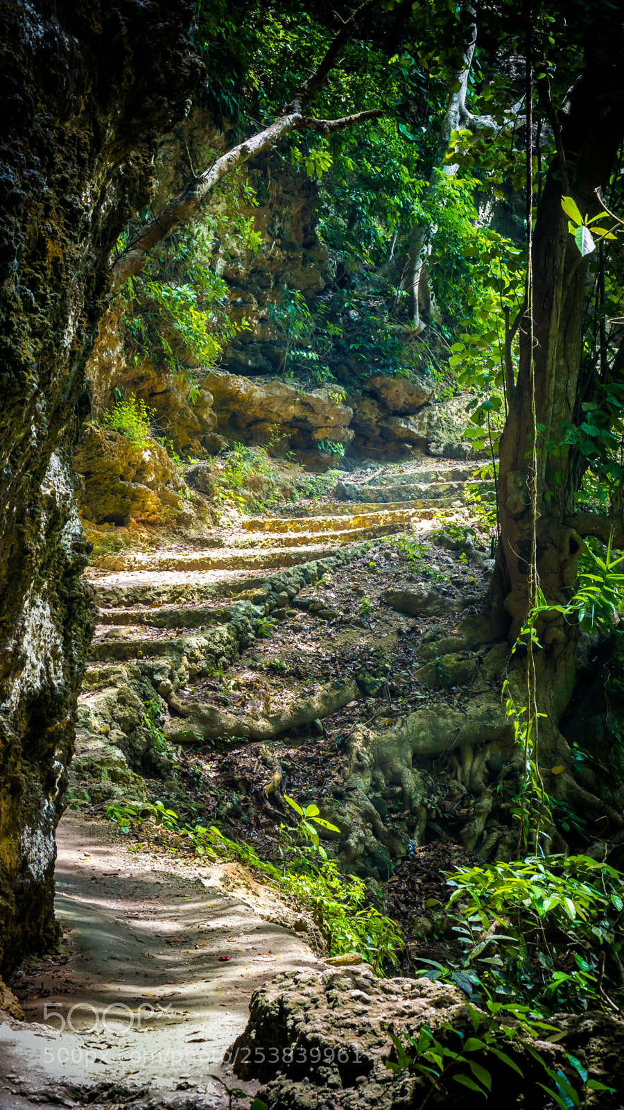 Panasonic DMC-G70 sample photo. Stone staircase leading on photography