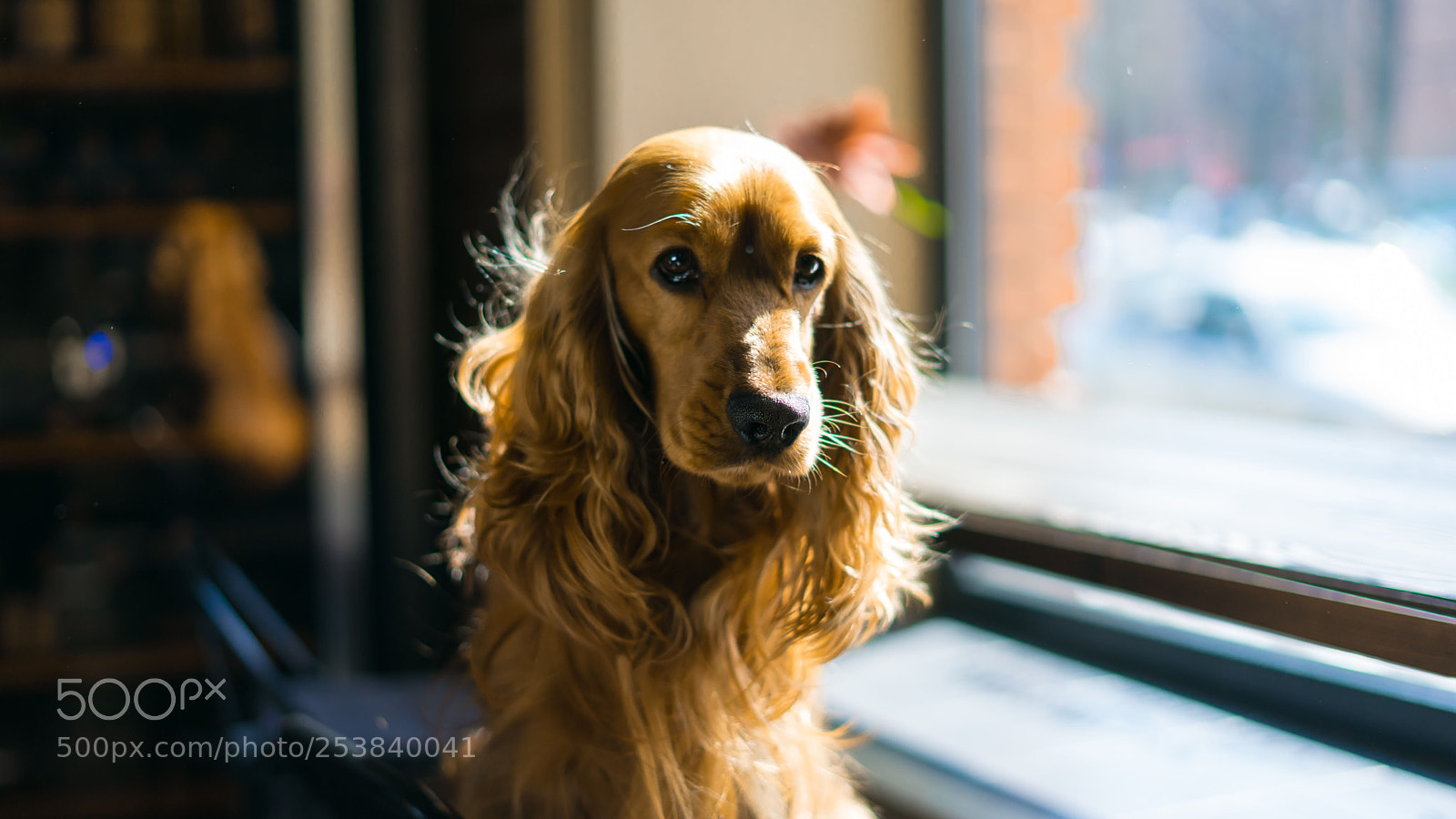 Sony a7 sample photo. Gringo photography