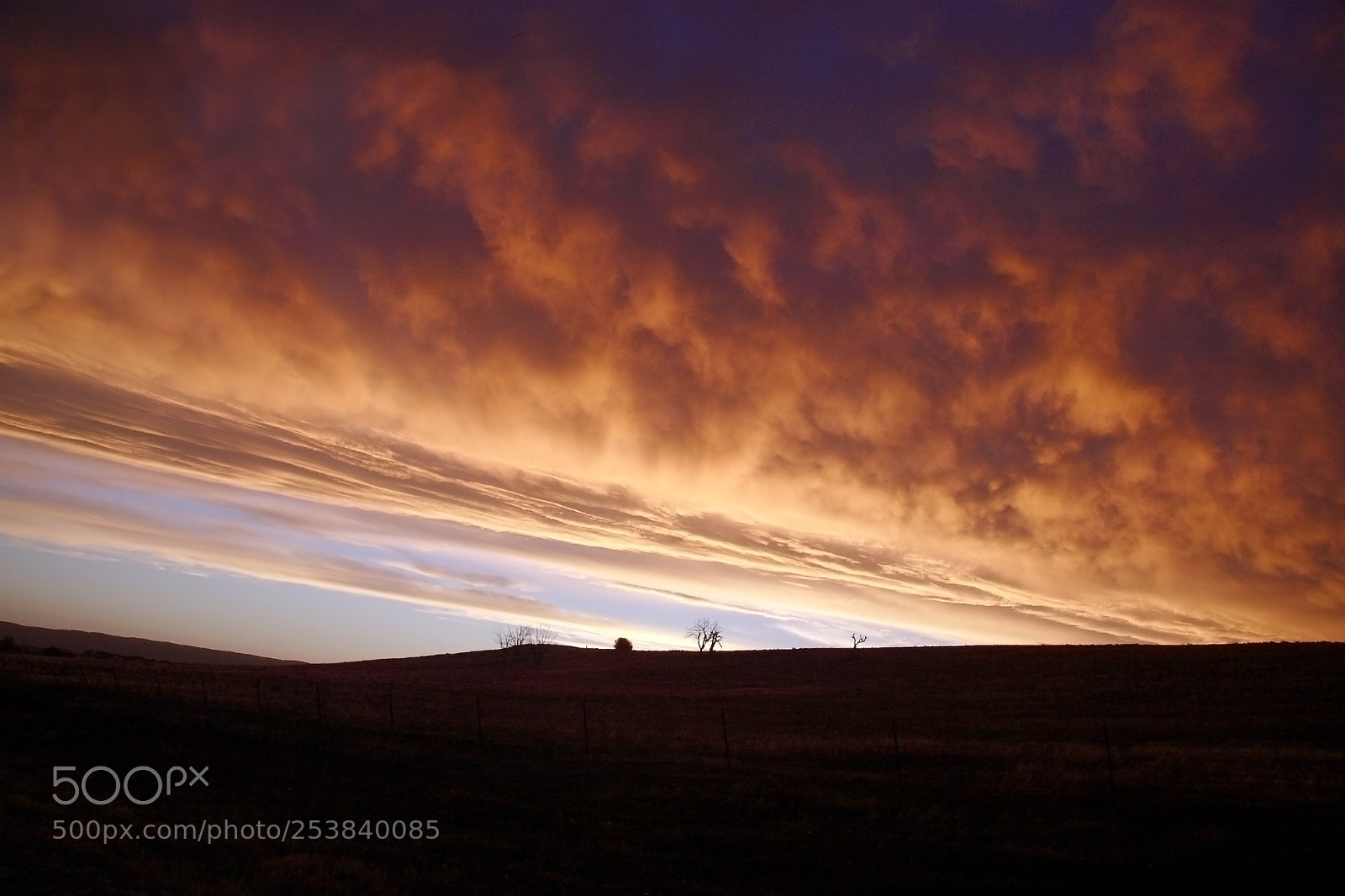 Canon EOS 30D sample photo. Sunset on barley paddock photography