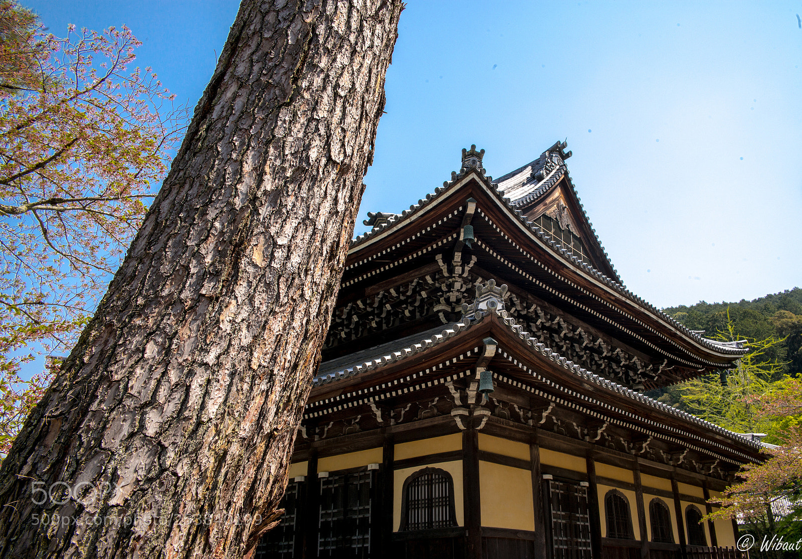 Leica M (Typ 240) sample photo. Nanzen-ji photography