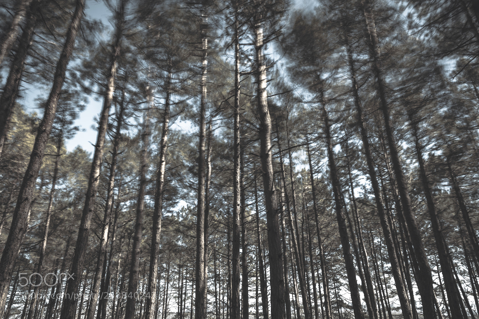 Canon EOS 5DS R sample photo. Feel him! photography
