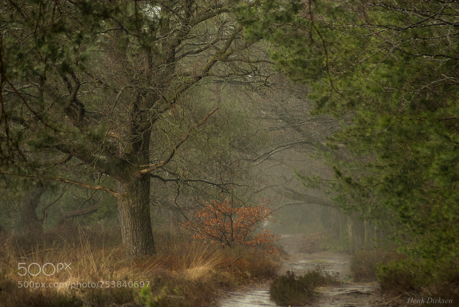 Nikon D200 sample photo. Sunday afternoon rain photography