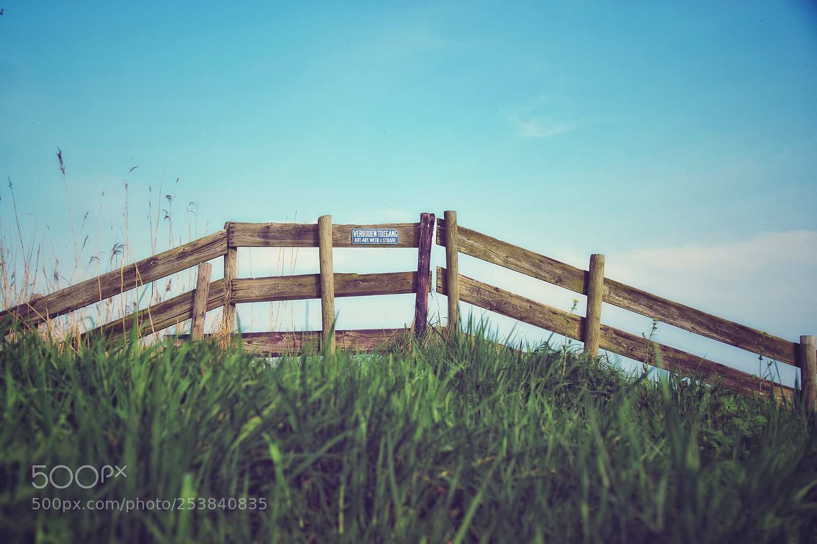 Sony ILCA-77M2 sample photo. No entry photography