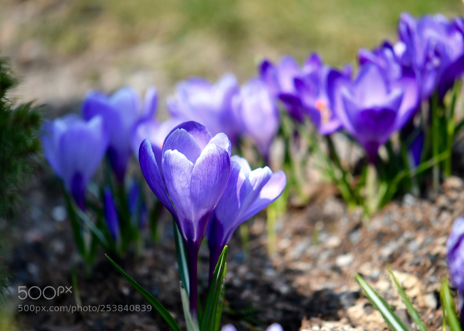 Nikon D500 sample photo. Untitled photography