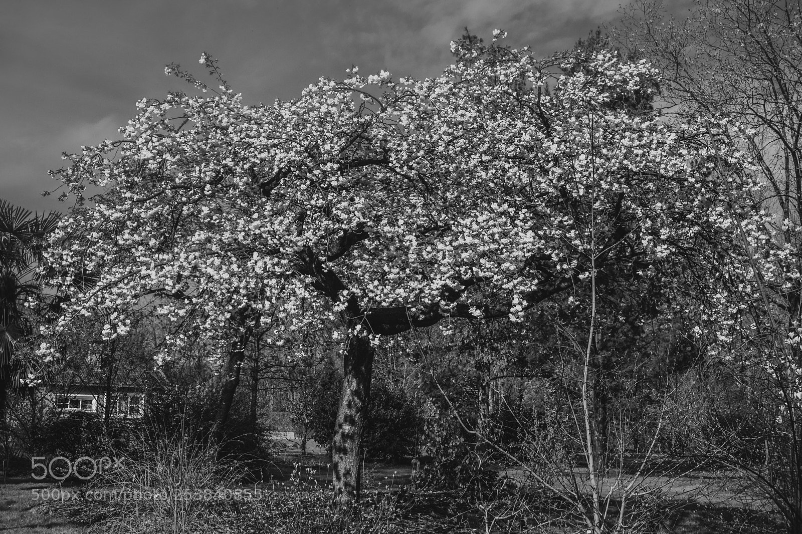Fujifilm X-T2 sample photo. Leen omgeving photography