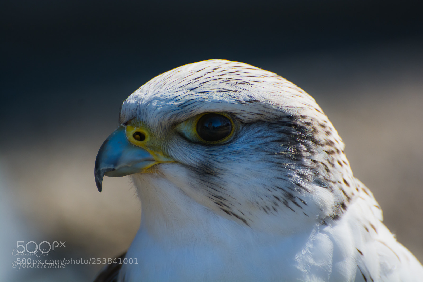 Nikon D7100 sample photo. World in eye. photography