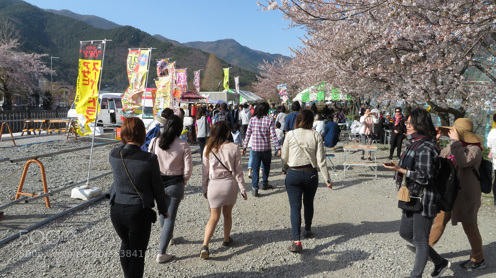 Canon PowerShot SX720 HS sample photo. Sakura fuji photography